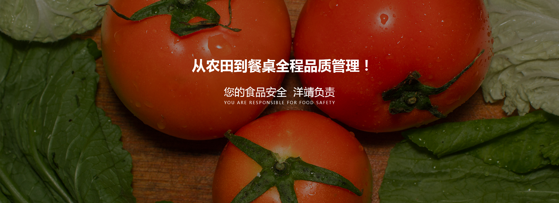 食堂服务外包